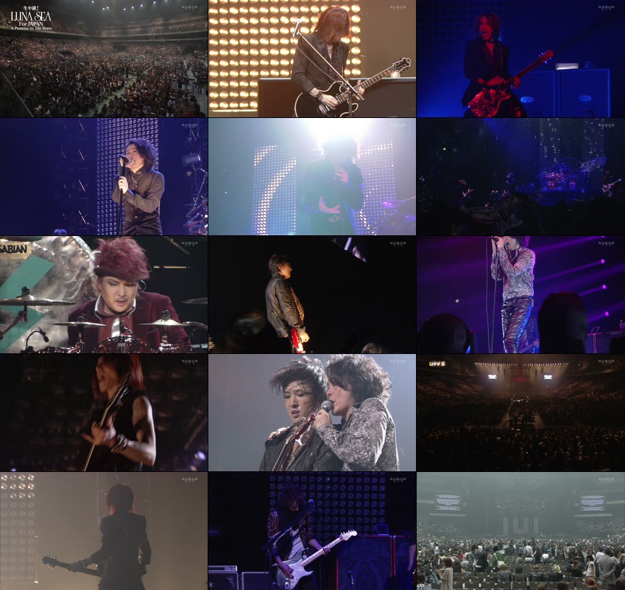 Luna Sea 月之海 For Japan A Promise To The Brave Wowow 11 1080p Hdtv Ts 27 1g 哆咪影音