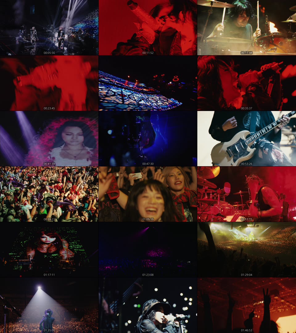 VAMPS LIVE 2015 BLOODSUCKERS(初回限定盤Blu-ray)／VAMPS