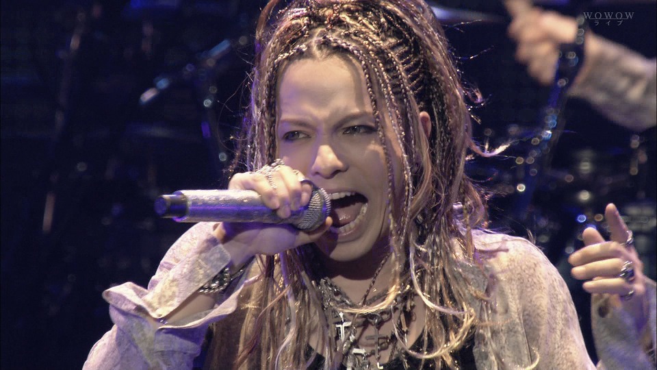 L′Arc~en~Ciel 彩虹乐队– WORLD TOUR 2012 LIVE at MADISON SQUARE